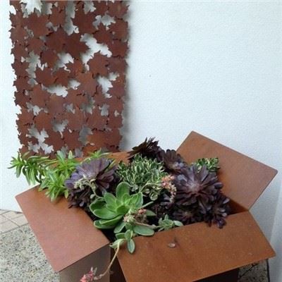 Sab nraum zoov Corten Steel Paj lauj kaub