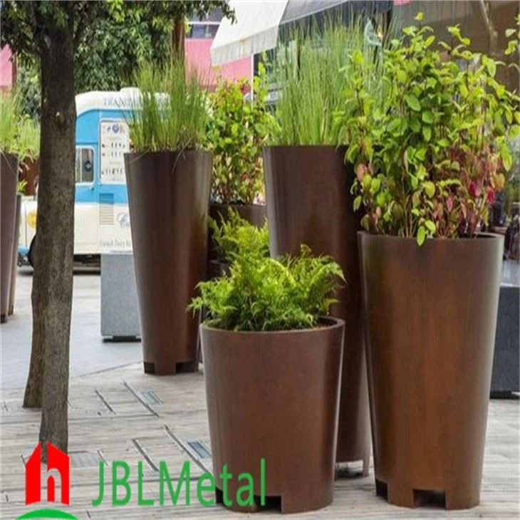 Hanging Basket Plants