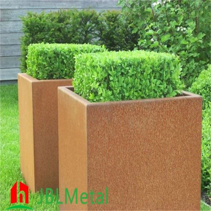 Hanging Basket Plants