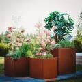 Customize Corten Steel Planter