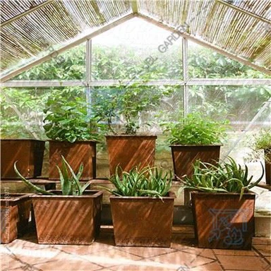 Loj Hlob Planter