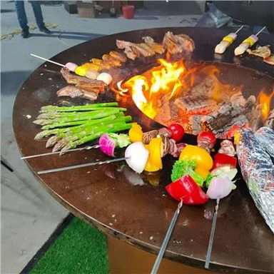 Portable Charcoal Bbq Grill