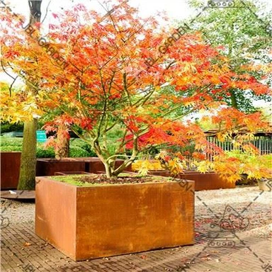 Rusty Planter Boxes