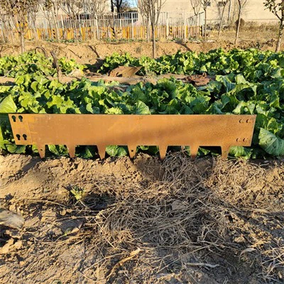Lawn Edging For Garden Decorative